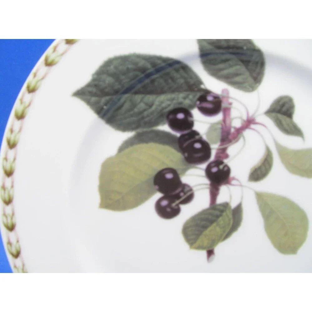 2 Queens Fine China Hookers Fruit Royal Horticultural Society 8.5